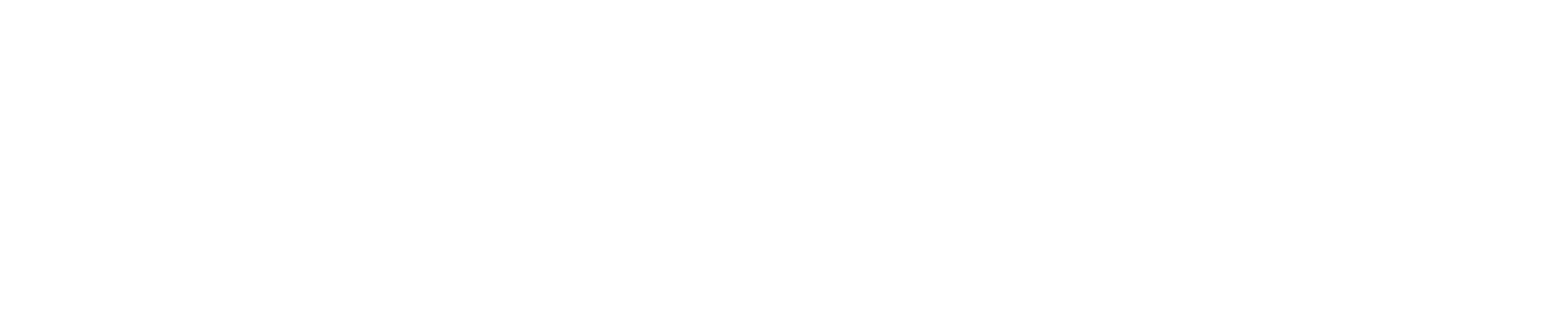 Steve Bonham & The Long Road